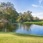 Neuromarketing im E-Mail-Marketing: Öffnungsraten durch Psychologie steigern